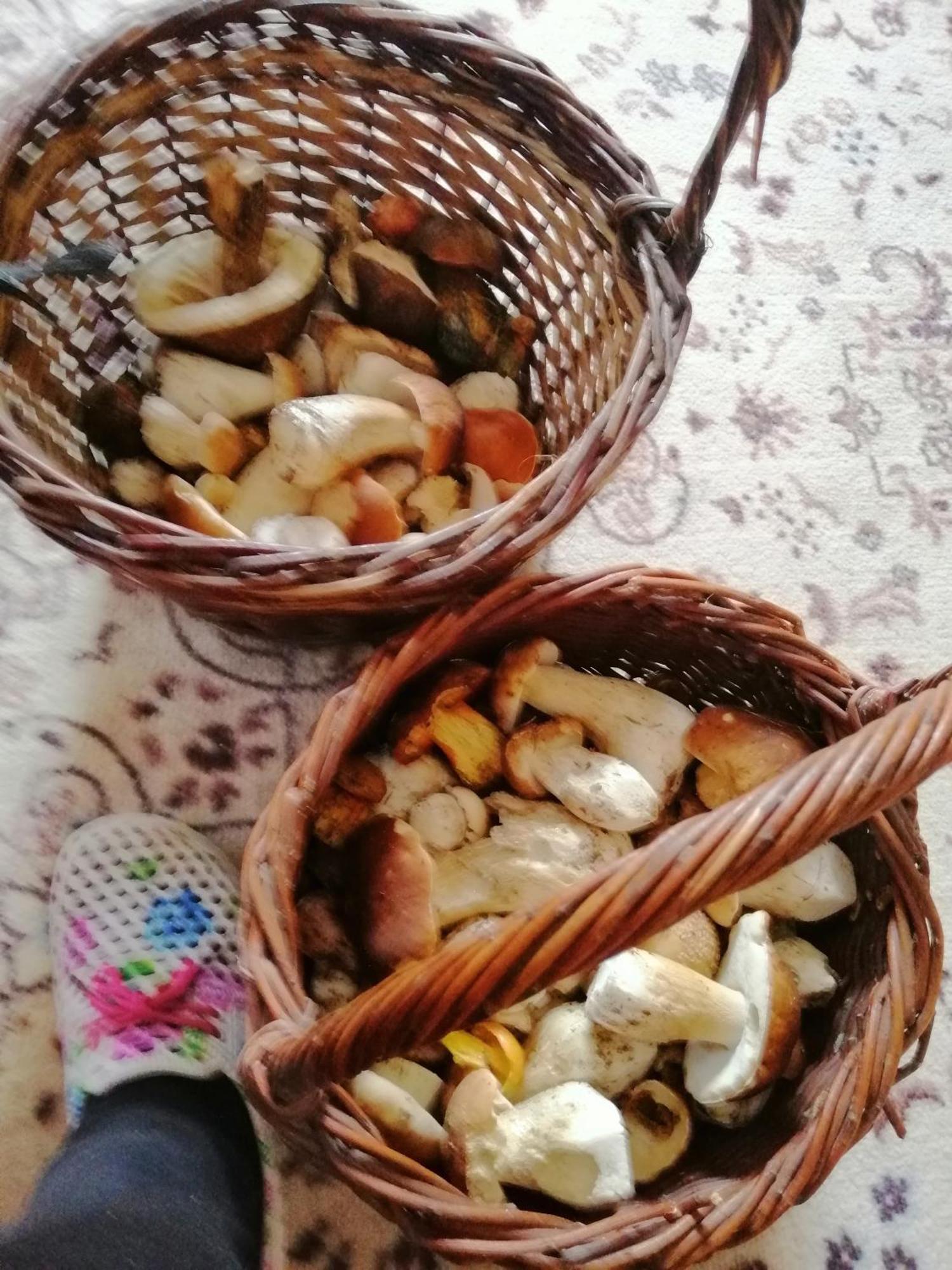 Penzion Jura Chřibská Buitenkant foto