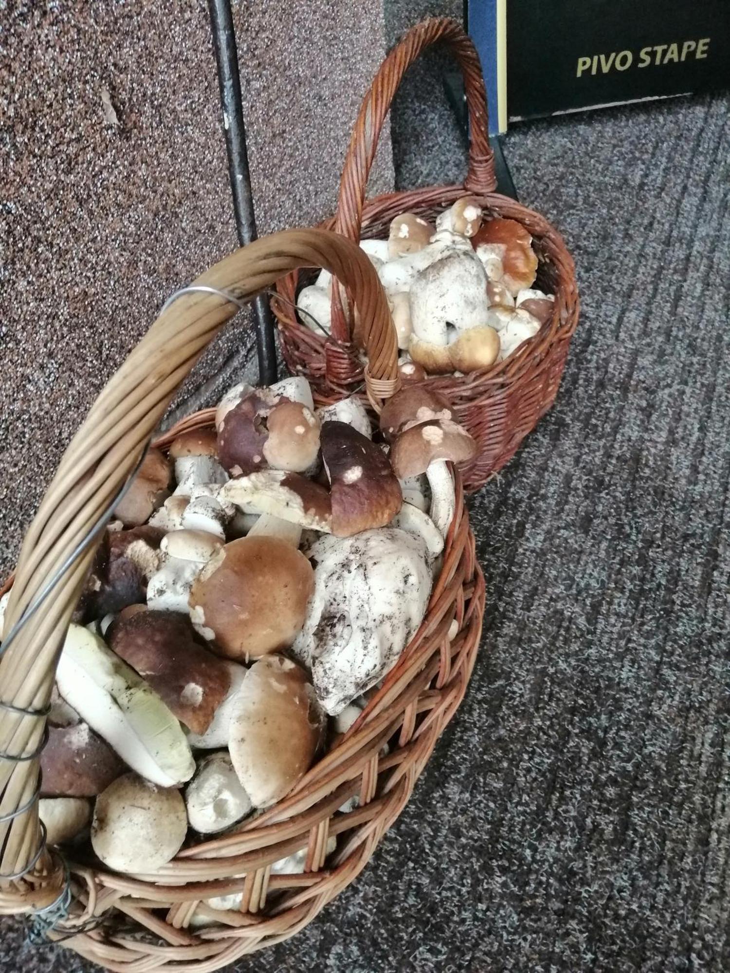 Penzion Jura Chřibská Buitenkant foto