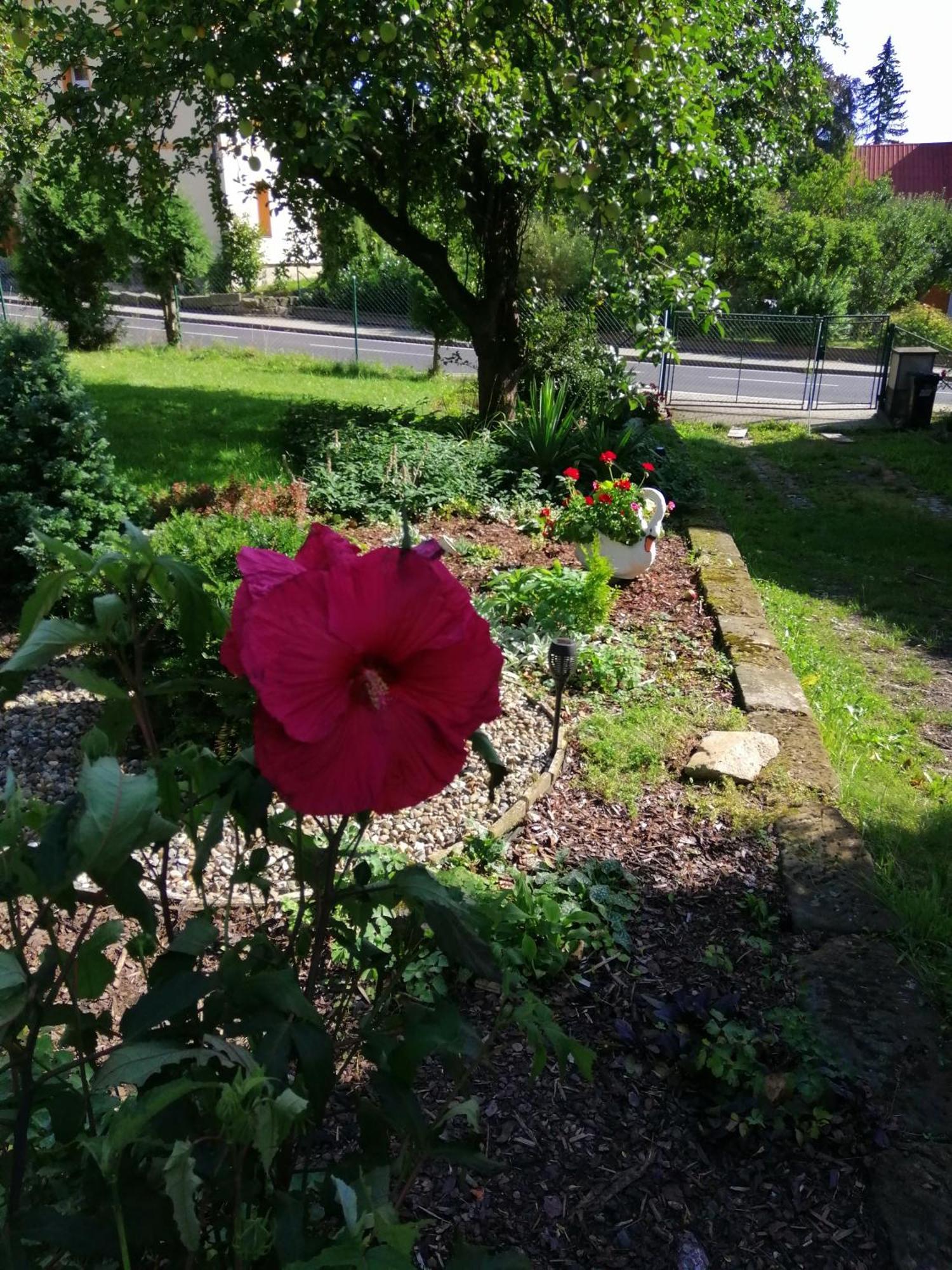 Penzion Jura Chřibská Buitenkant foto